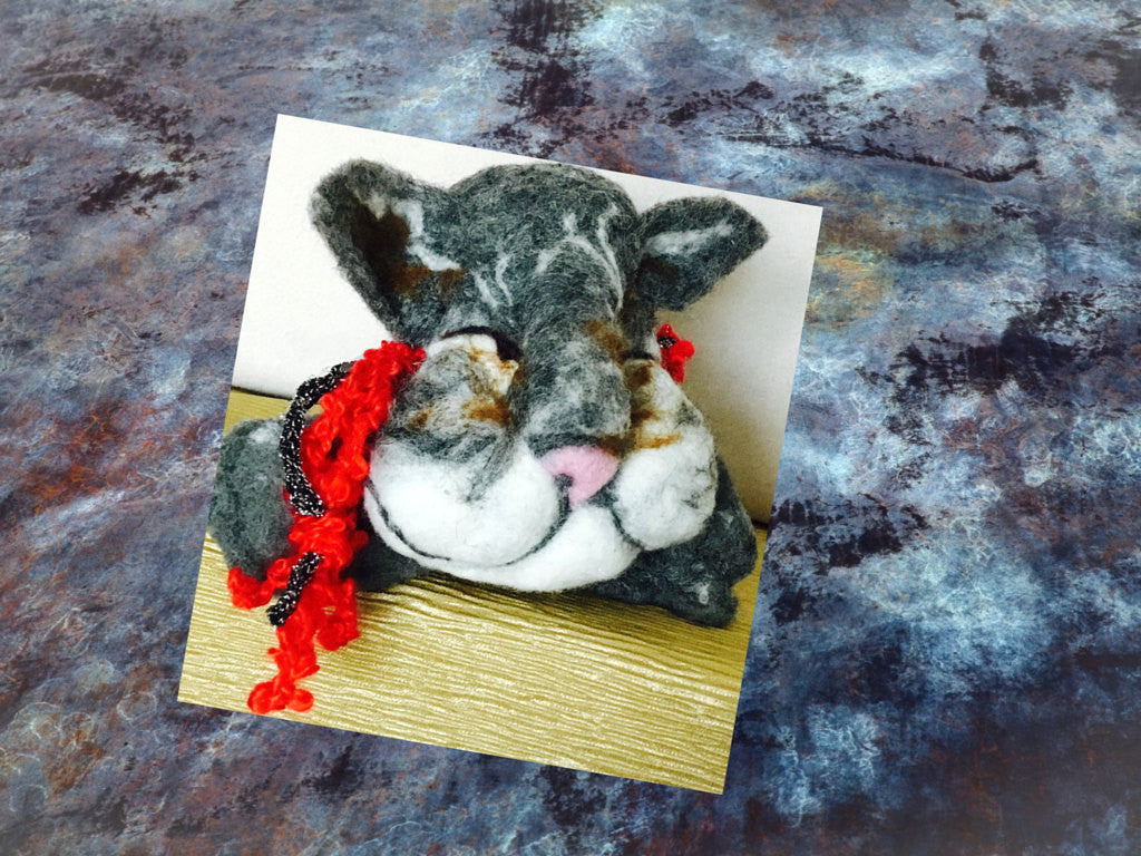 Felted Wool Cat Toy, with Red Wool Tassel.