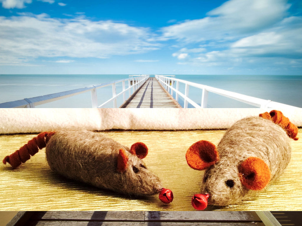 Wool Cat Toys, Mother and son Pair!