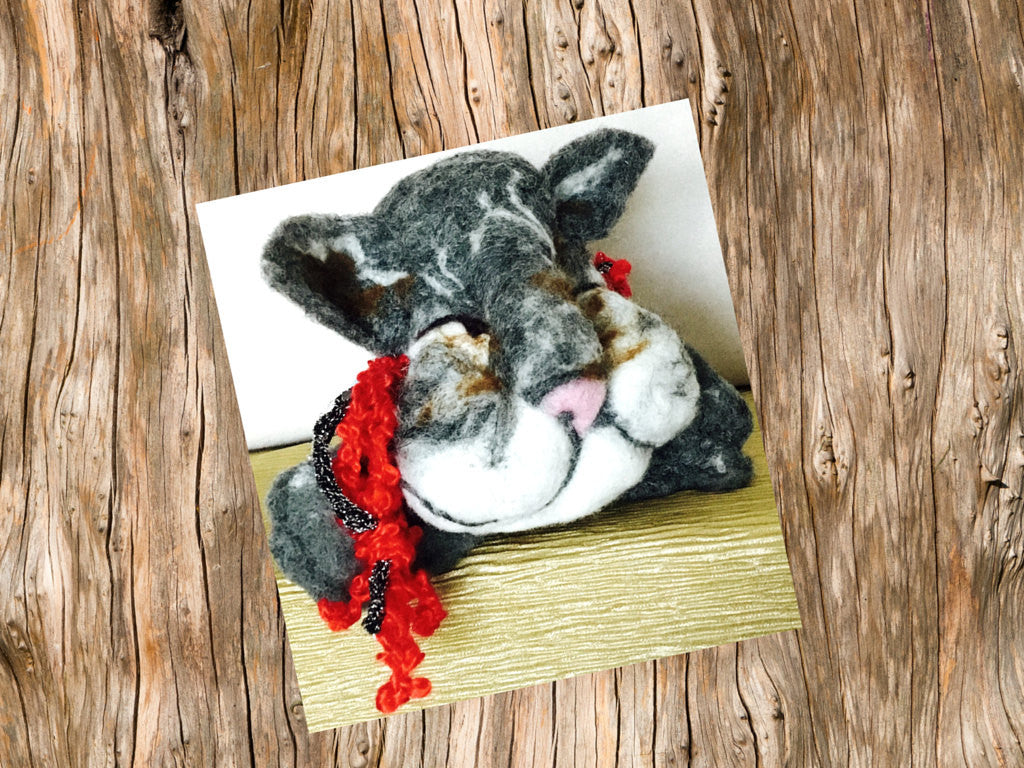 Felted Wool Cat Toy, with Red Wool Tassel.