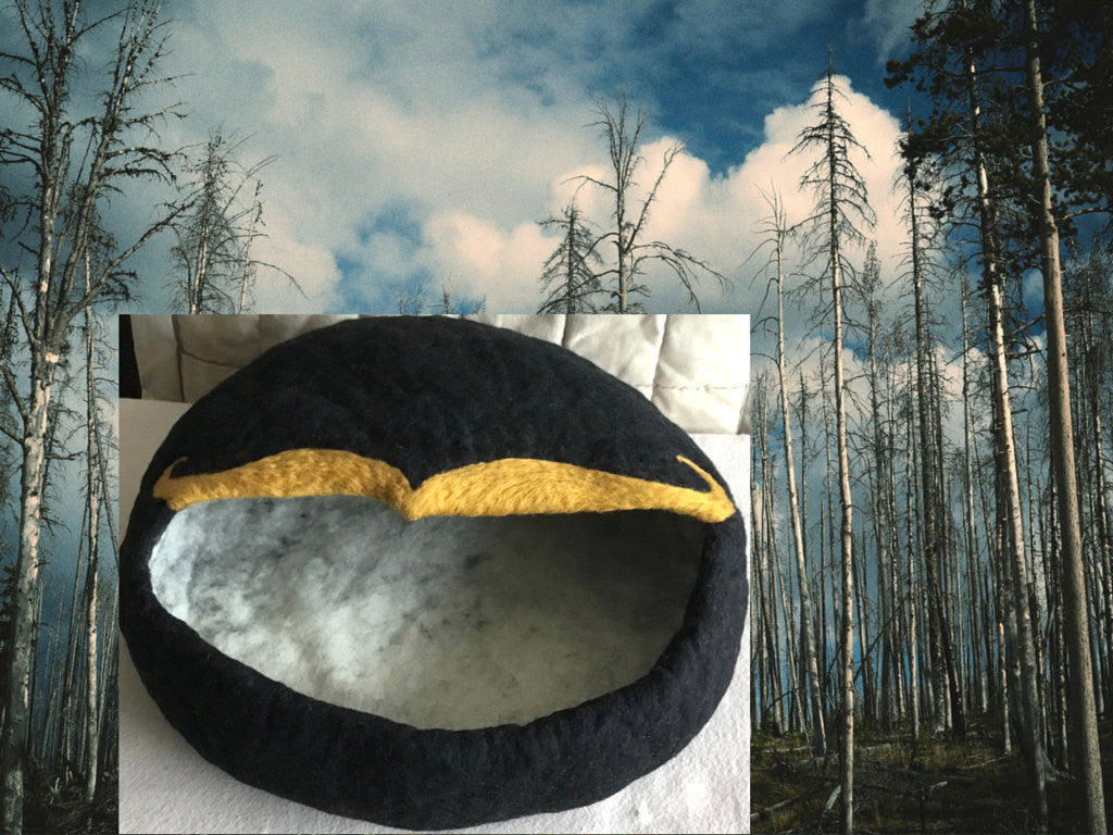 Black Wool Cat Cave, Mustard Colored Moustache!