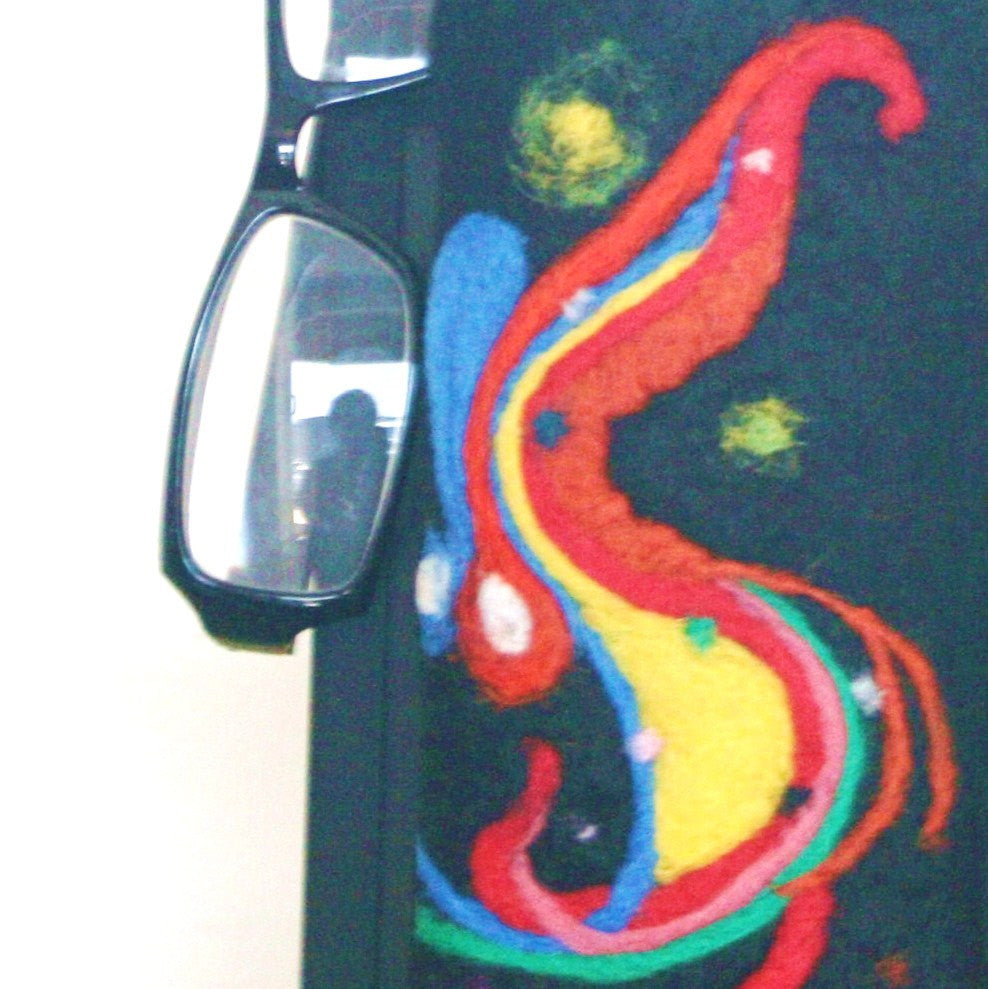 Colorful Felt Glasses Sleeve, Rainbow Sunglasses Case.